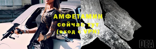 амф Вяземский