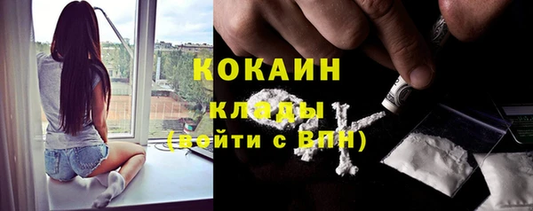 шишки Вязьма