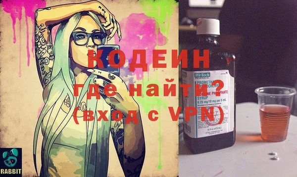 амф Вяземский
