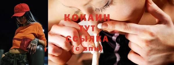 шишки Вязьма