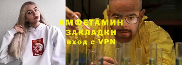 амф Вяземский