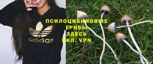 шишки Вязьма