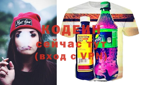 амф Вяземский