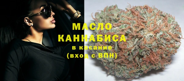 амф Вяземский