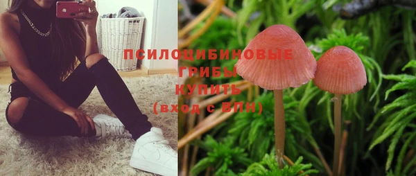 Альфа ПВП Вязники