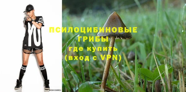 амф Вяземский